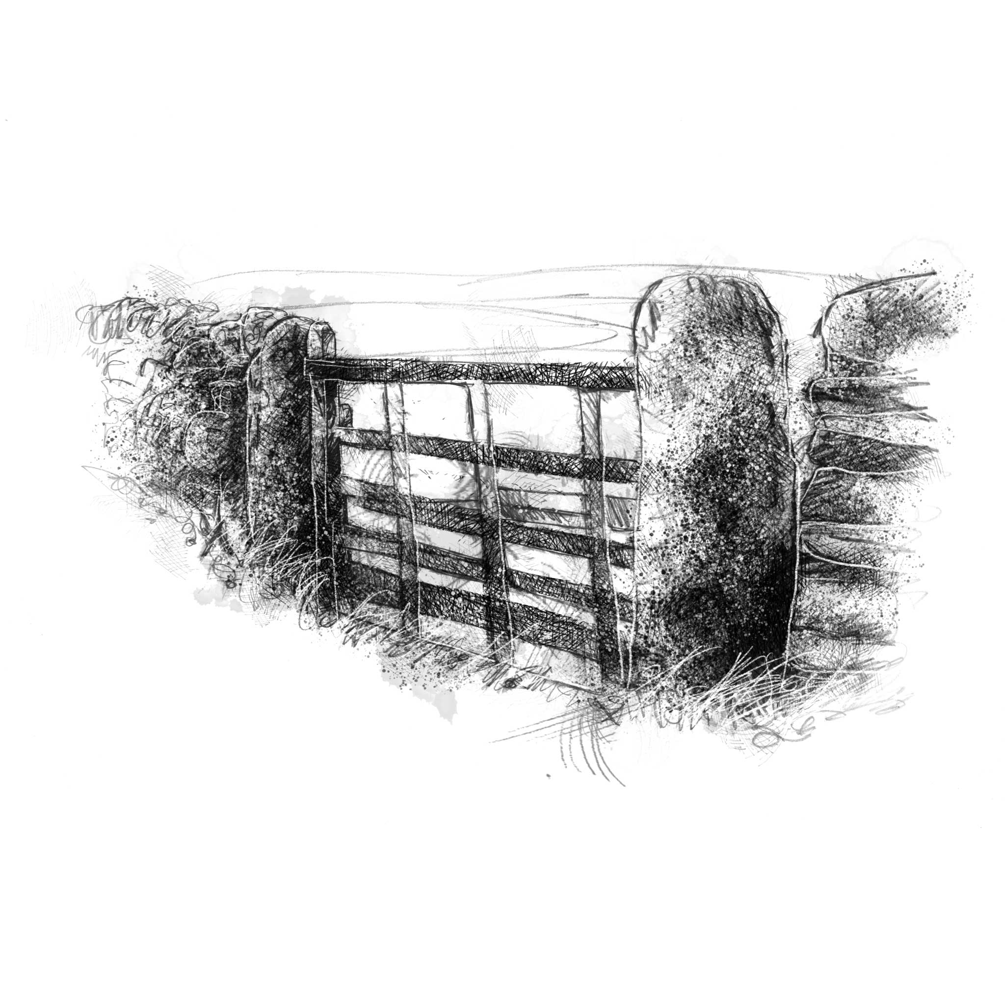 Pencil sketch of a wooden gate with stone posts on a white background