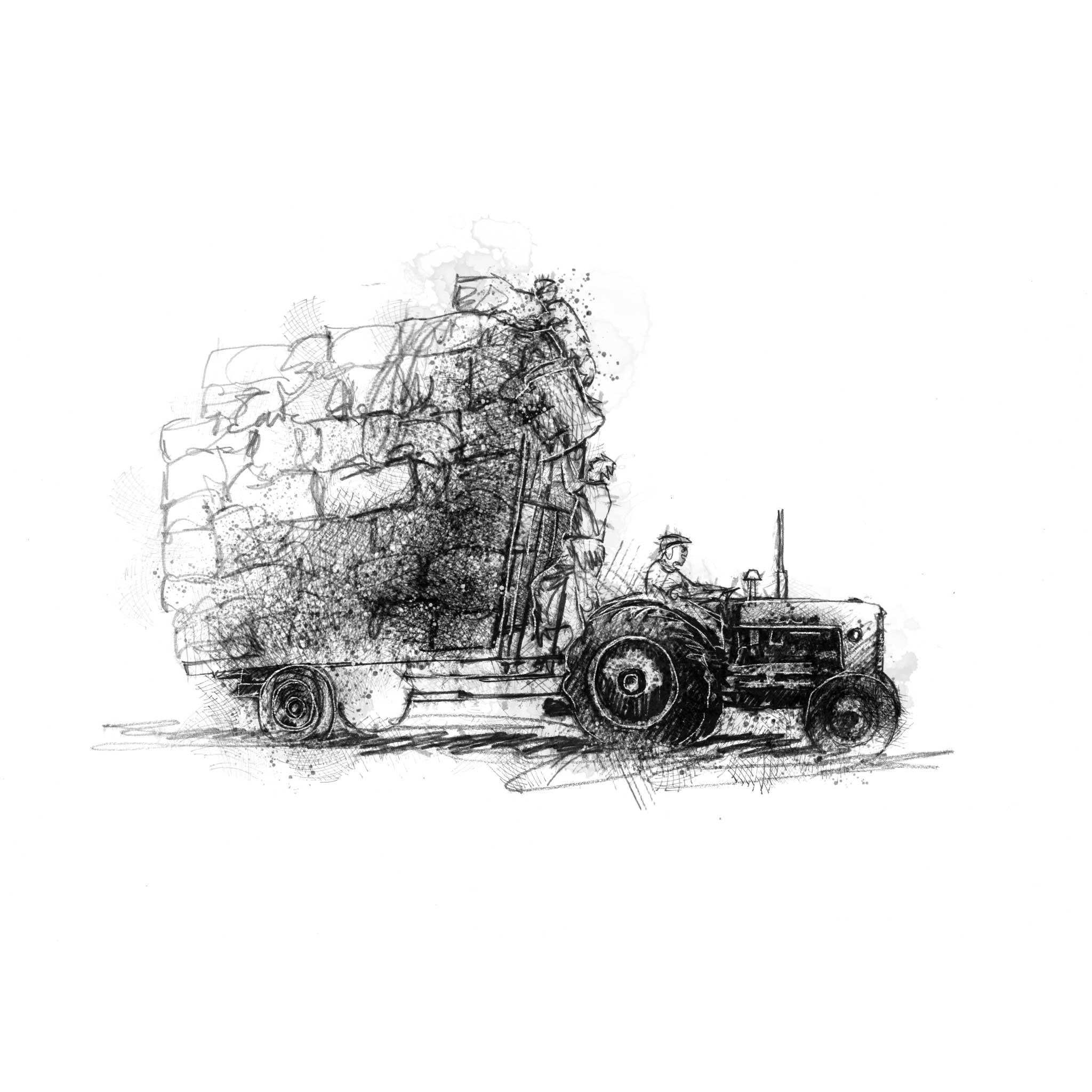 Hay gathering - BW Sketch