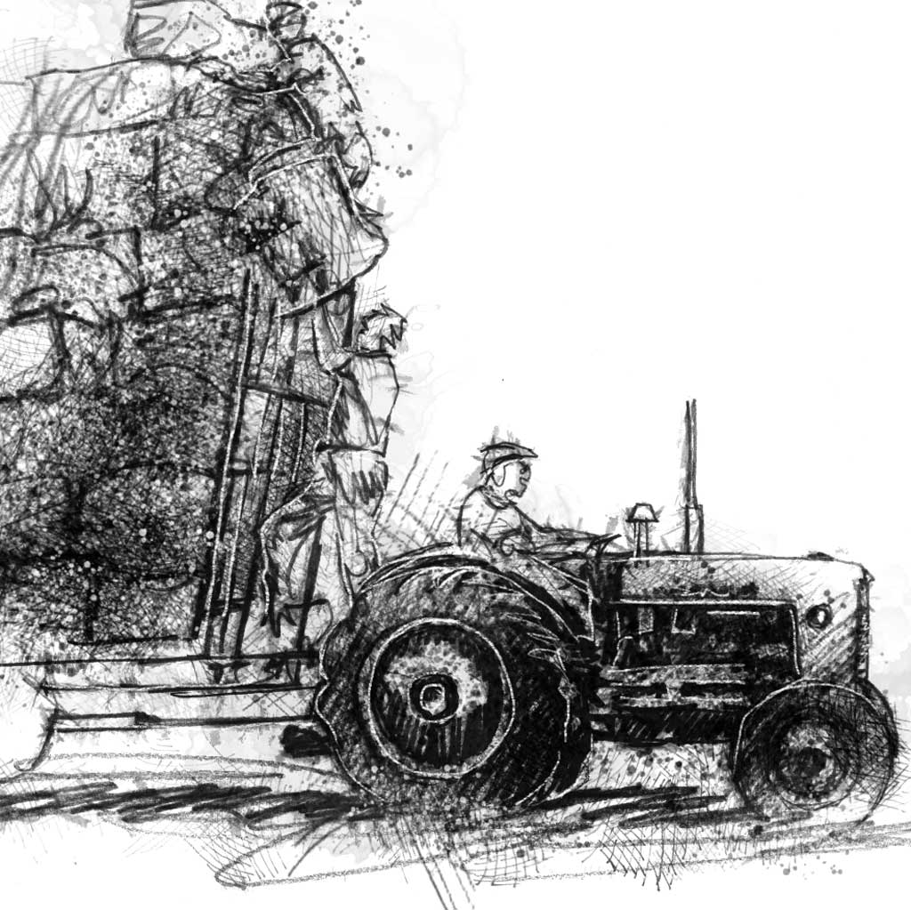 Hay gathering - BW Sketch