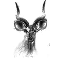 Kudu