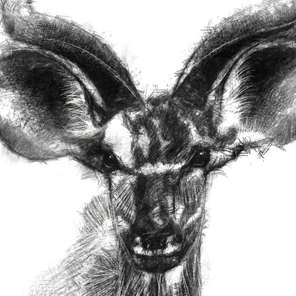 Kudu