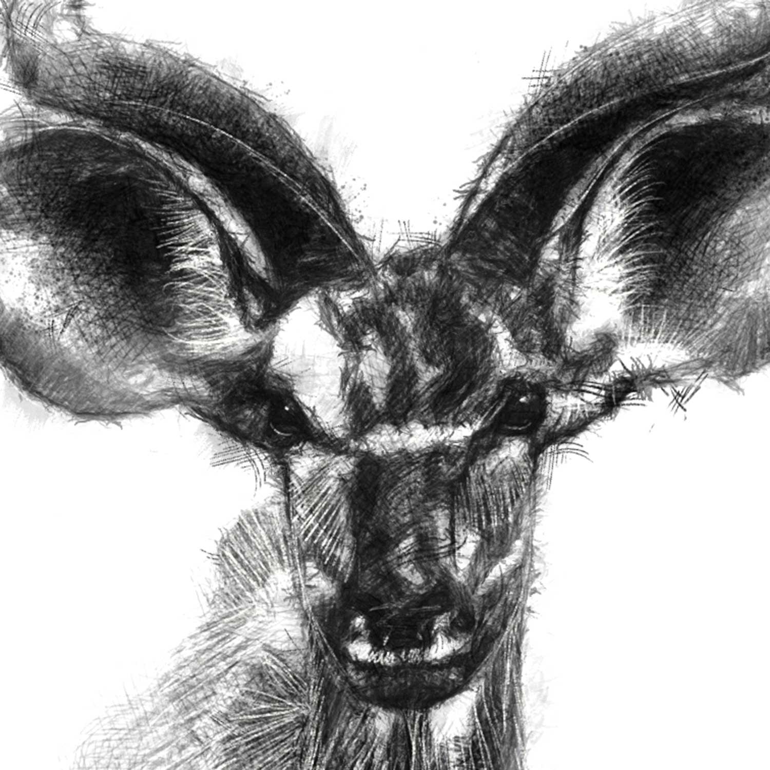 Kudu