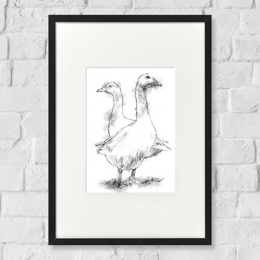 Geese