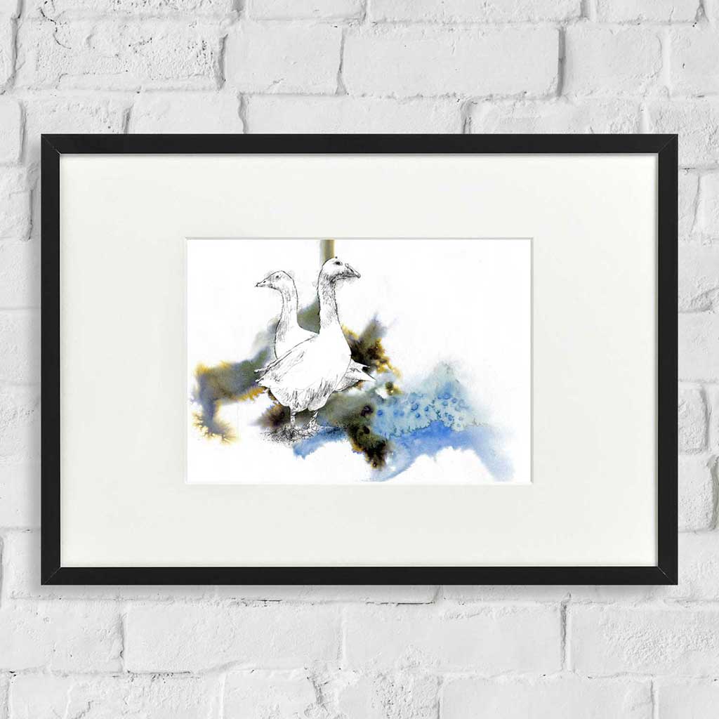 White Geese