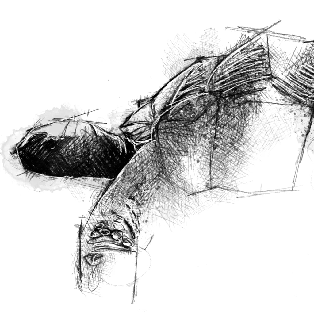 Giant Tortoise - BW Sketch