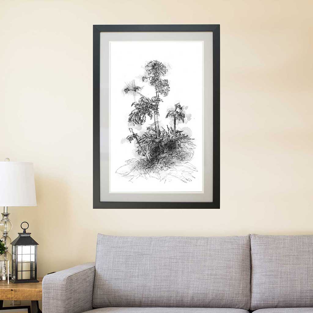 Giant hogweed
