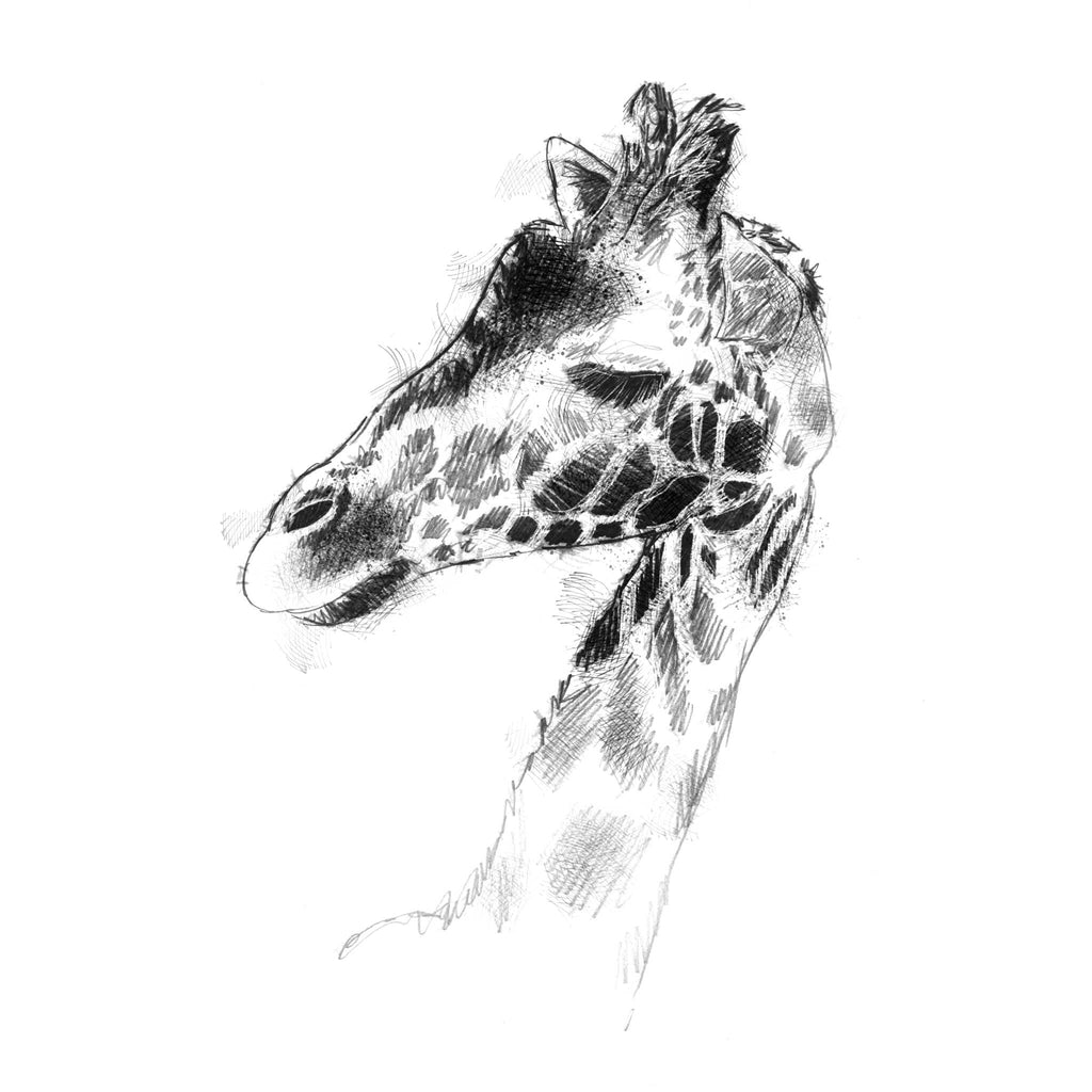 A black and white sketch of a giraffe's head and neck, rendered in a textured, sketch-like style on a plain white background.