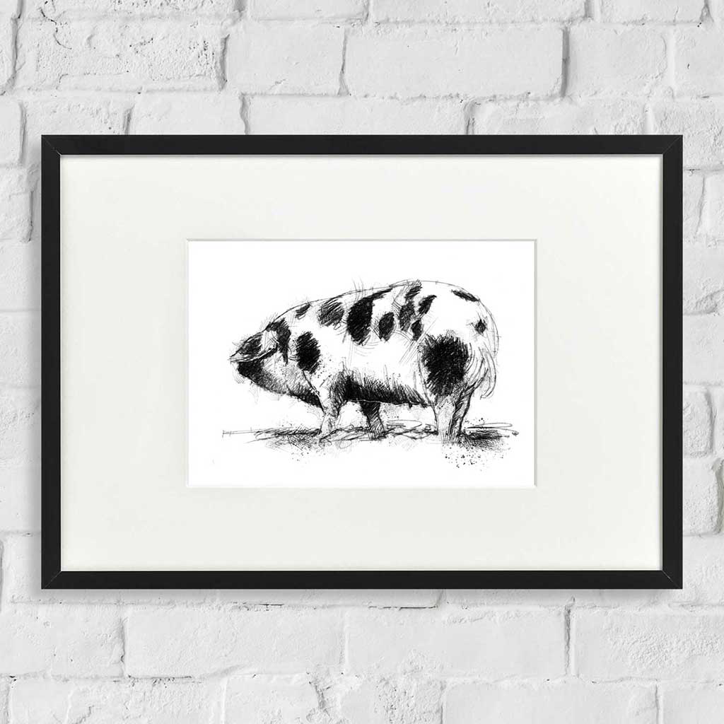 Gloucester old spot pig