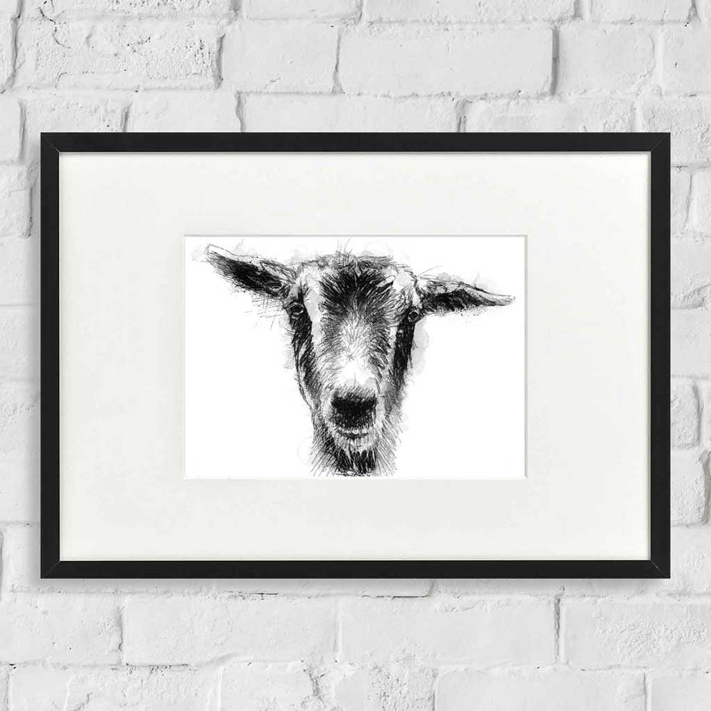 Nanny goat