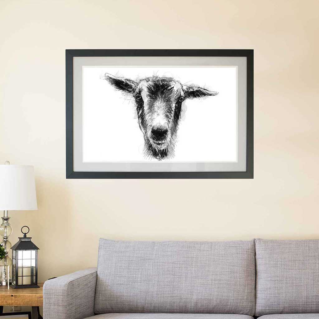 Nanny goat