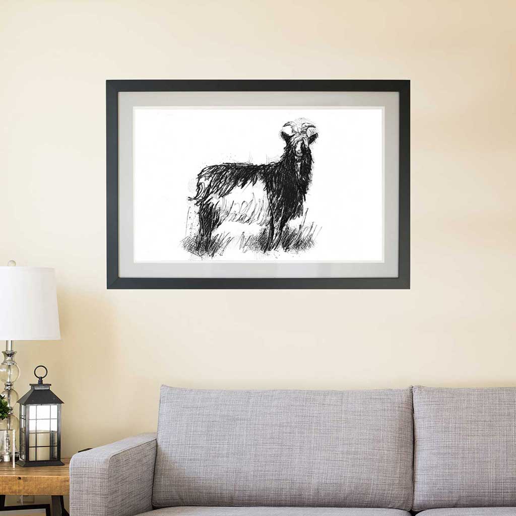 Shaggy goat