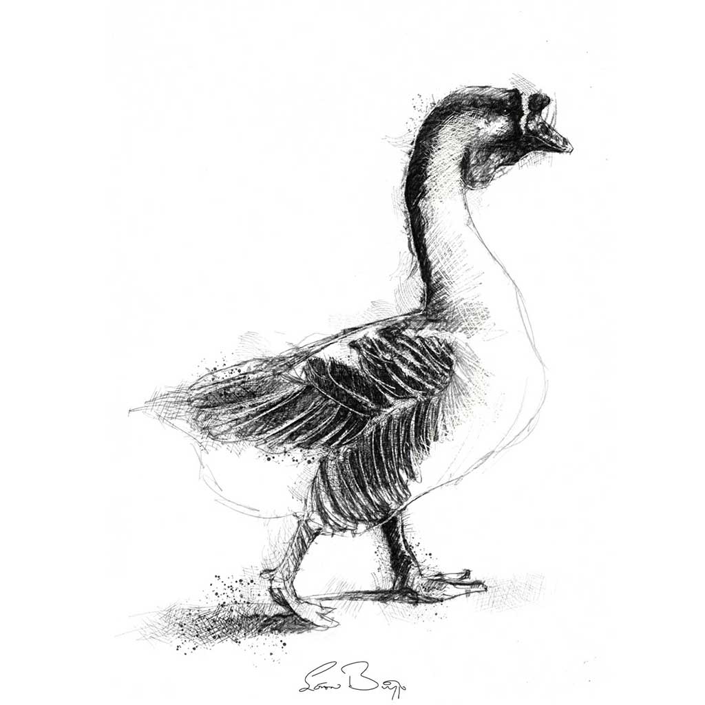Last goose