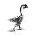 Last goose