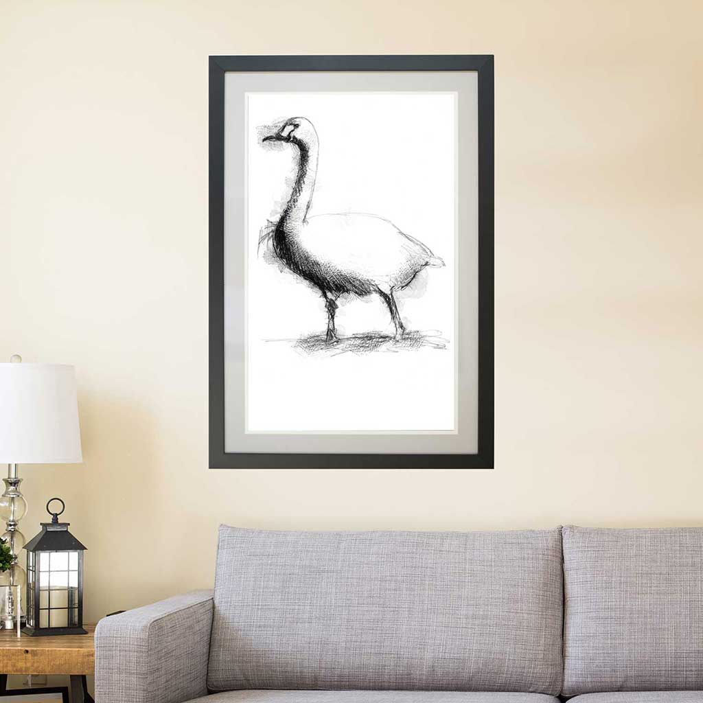 Bewick swan