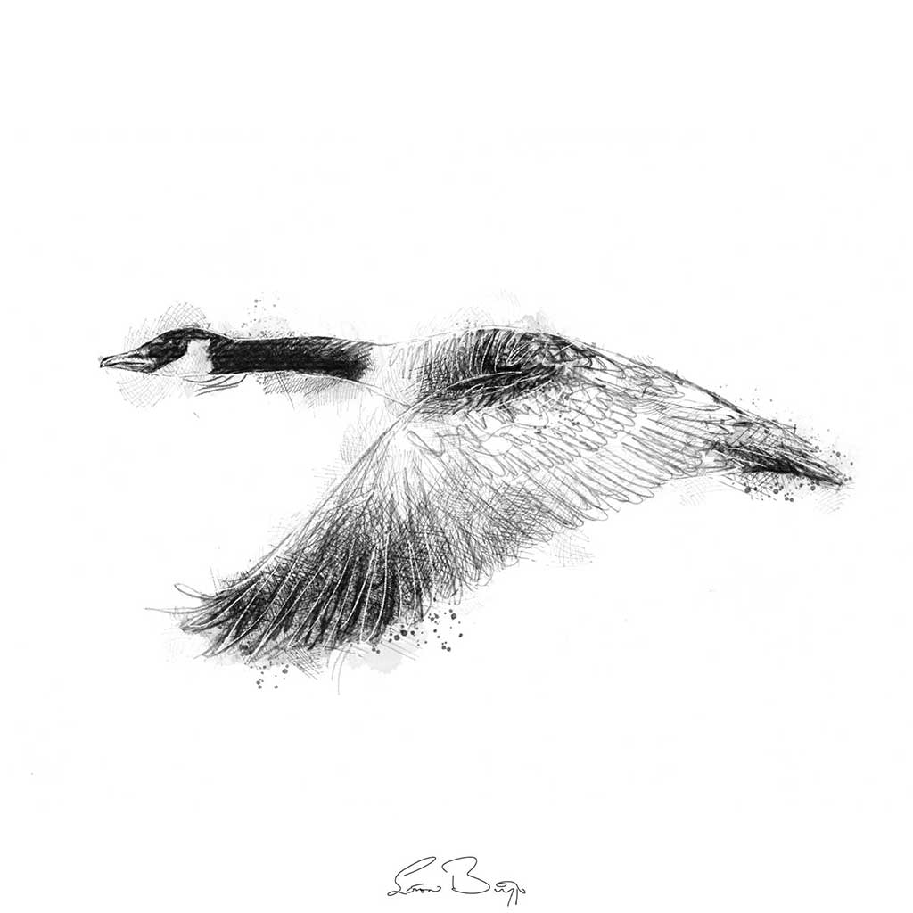 Goose flight