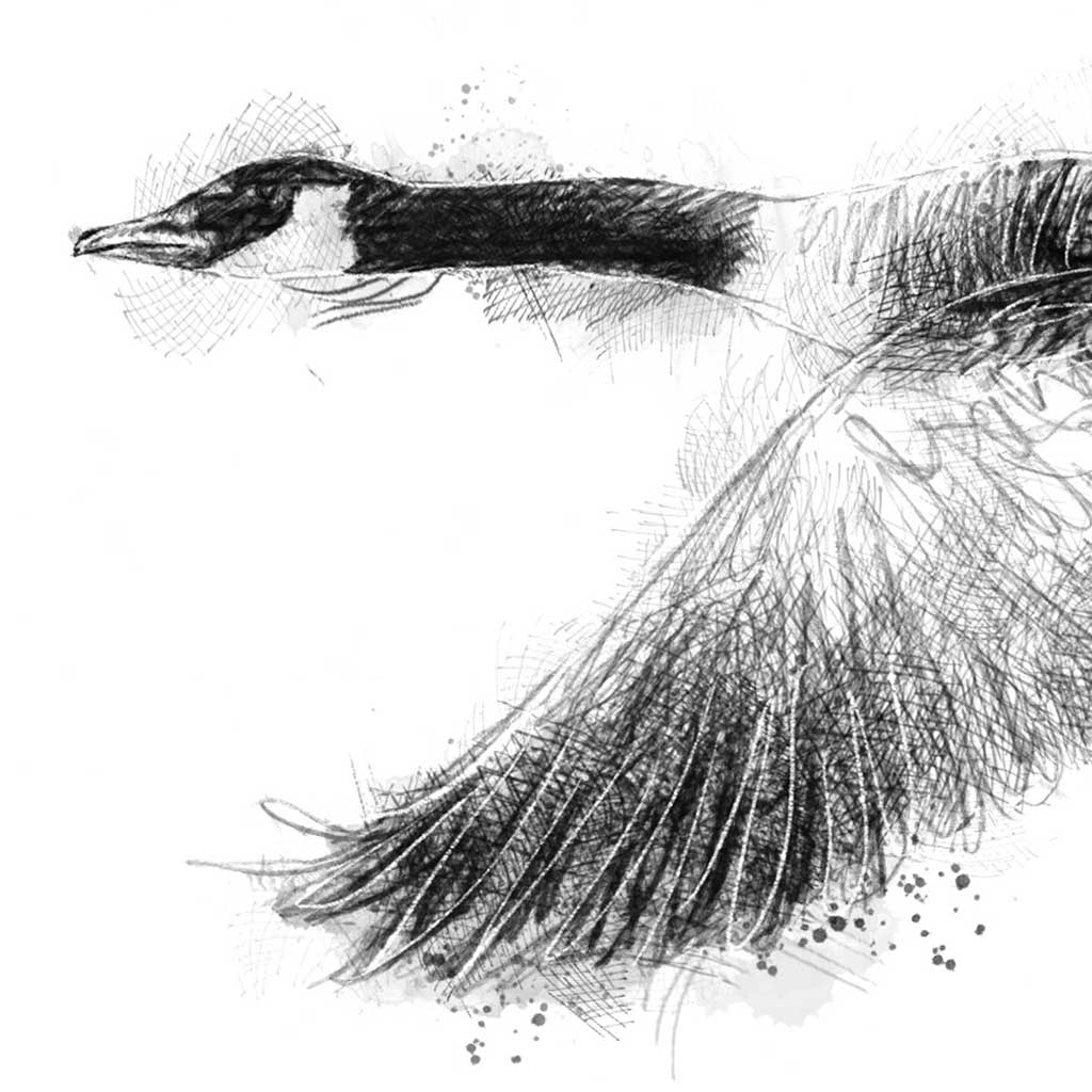 Goose flight