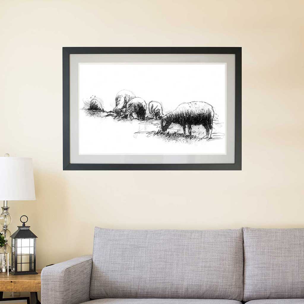 Grazing sheep