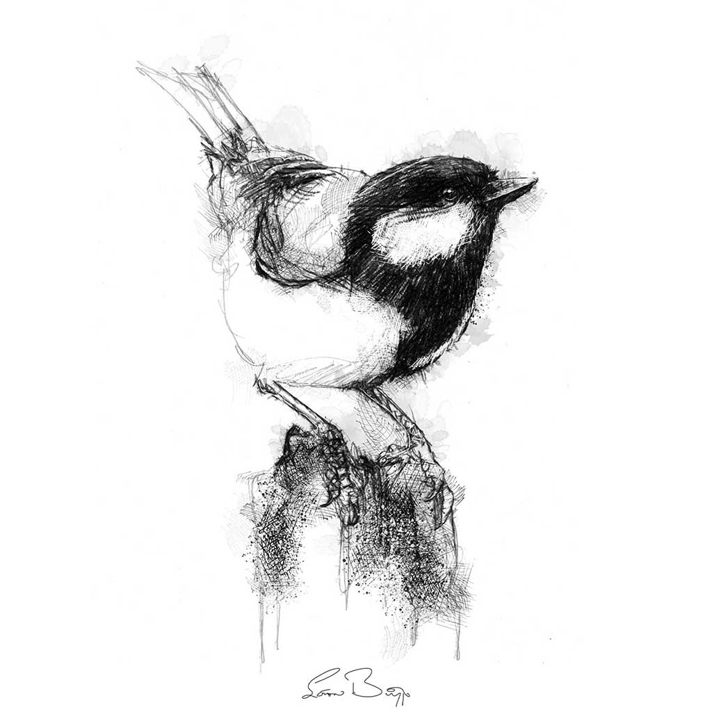 Great tit