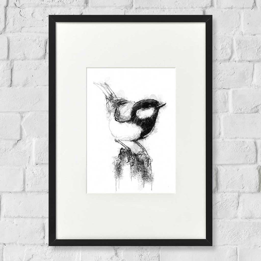 Great tit