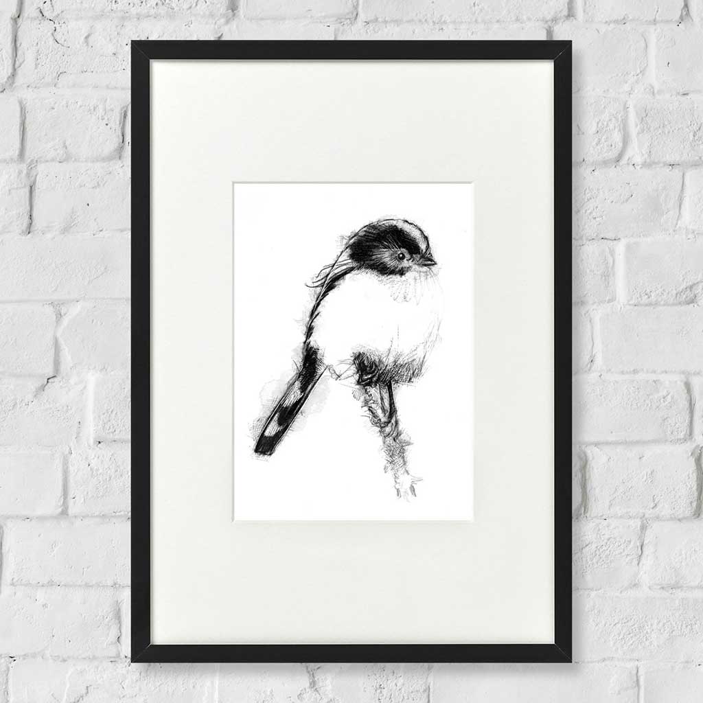 Long tailed tit
