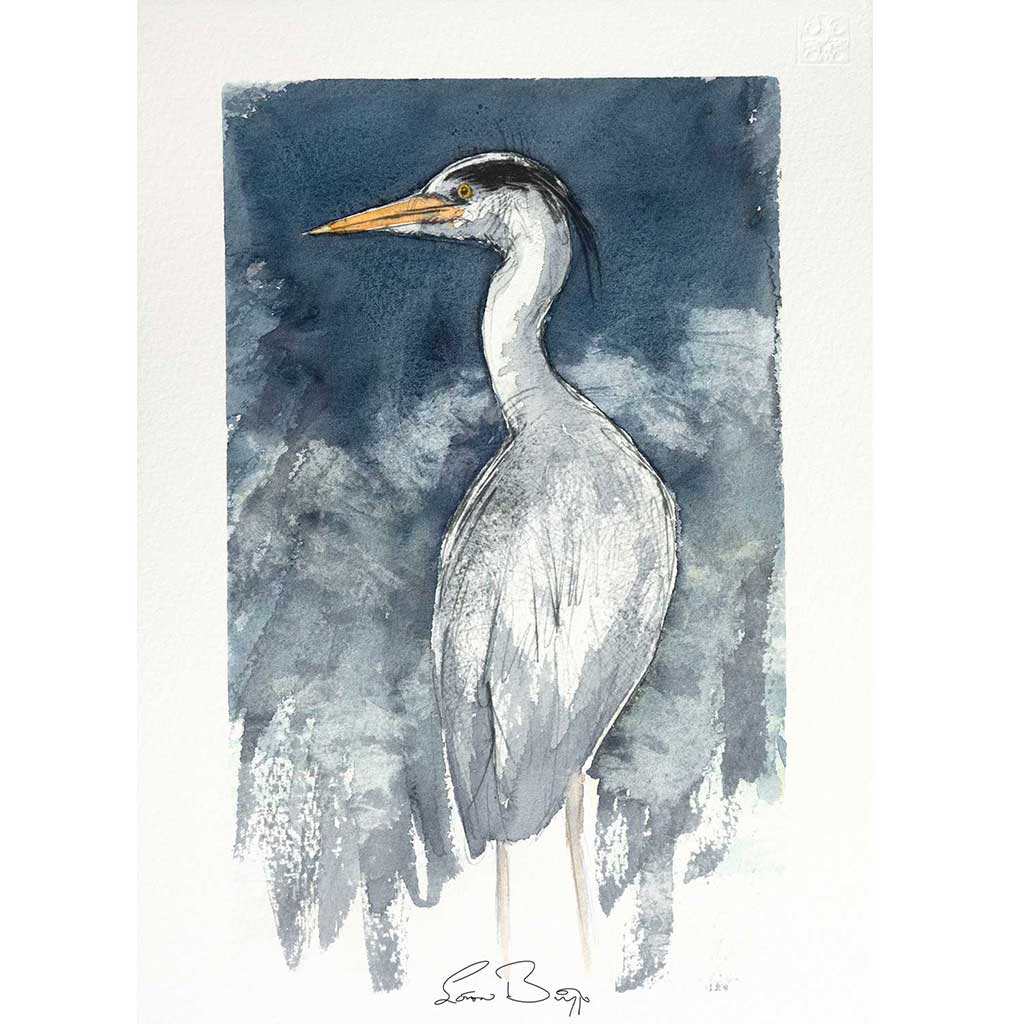 Grey heron