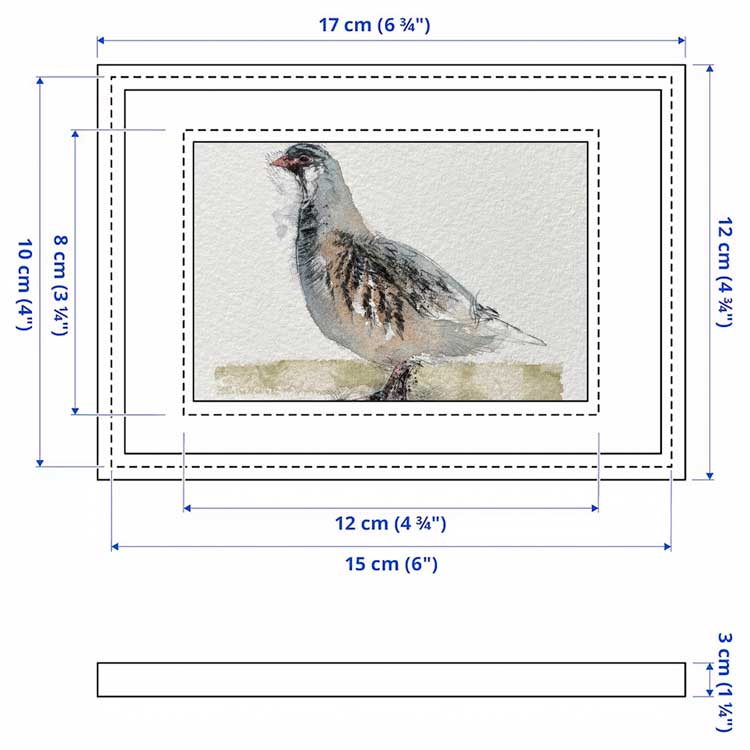 Grey partridge original mini sketch