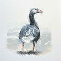 Greylag goose original mini sketch