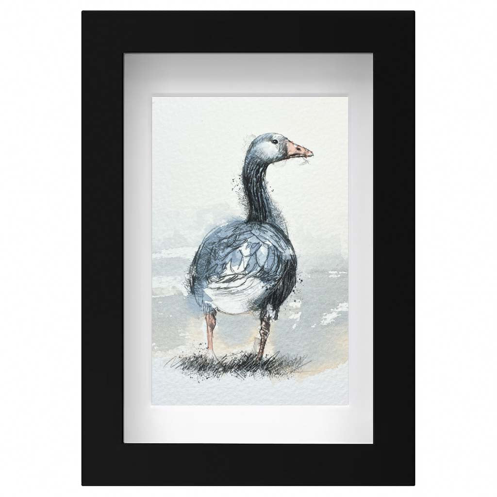 Greylag goose original mini sketch