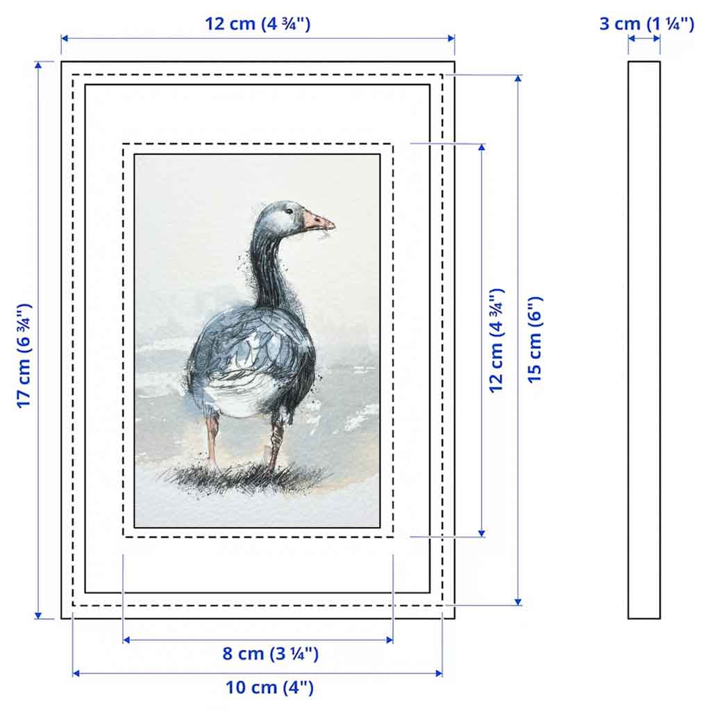 Greylag goose original mini sketch