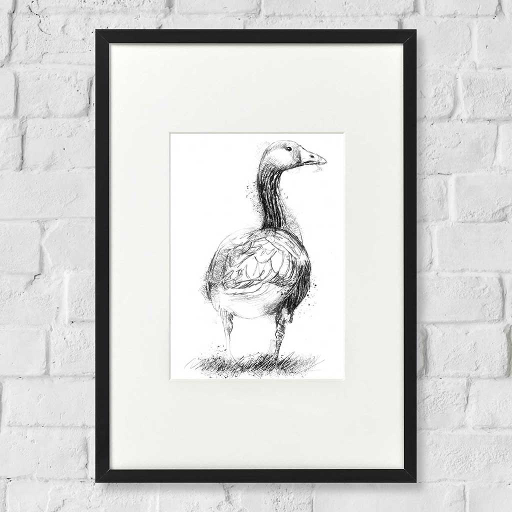 Greylag goose