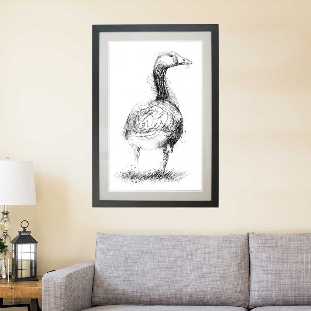 Greylag goose