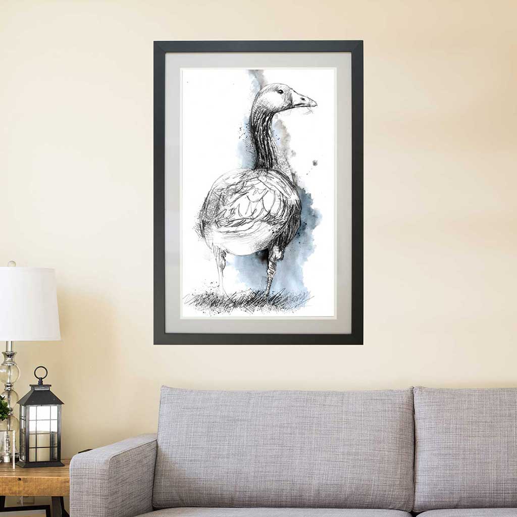 Greylag goose