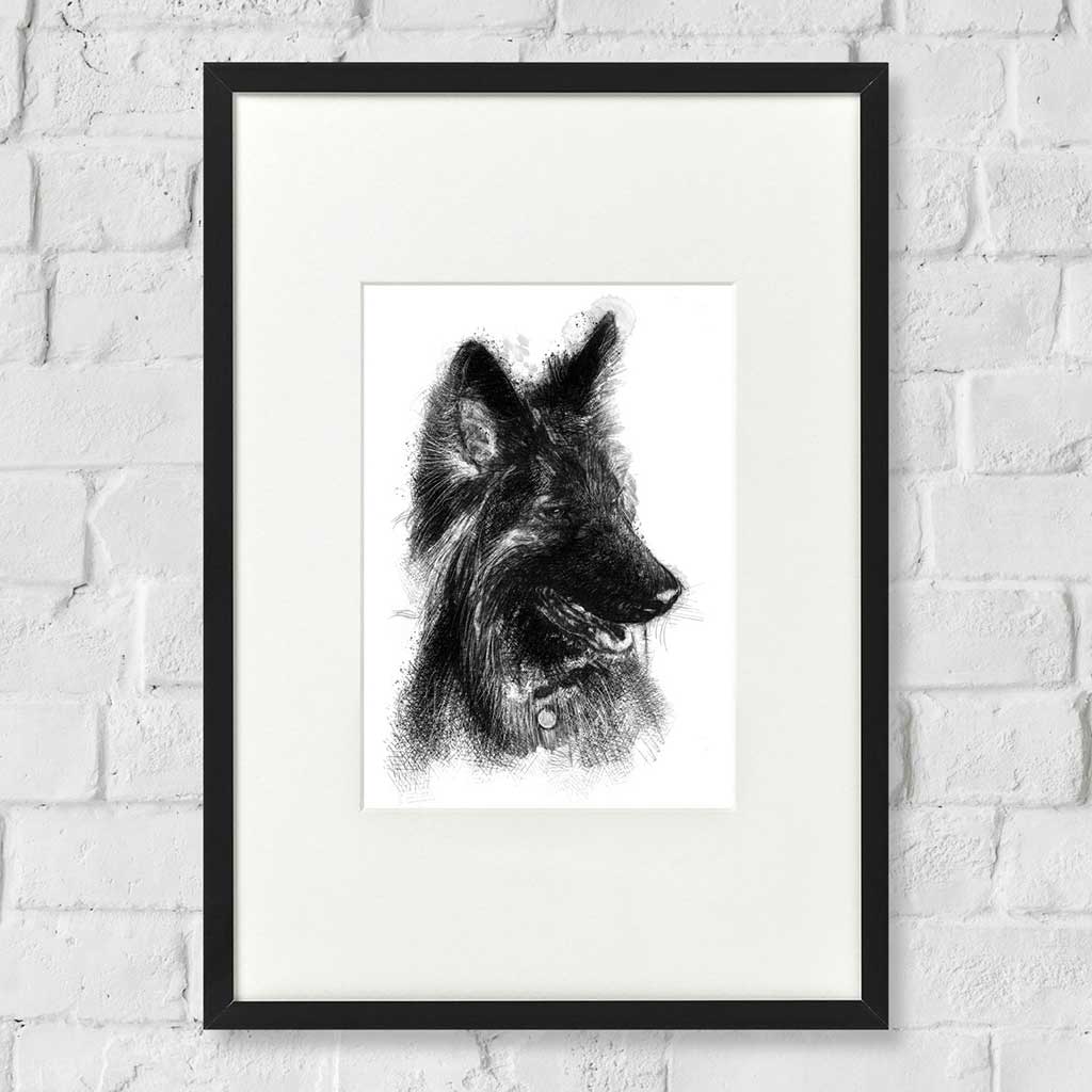German shepherd