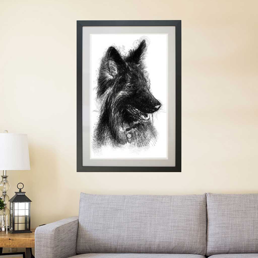 German shepherd