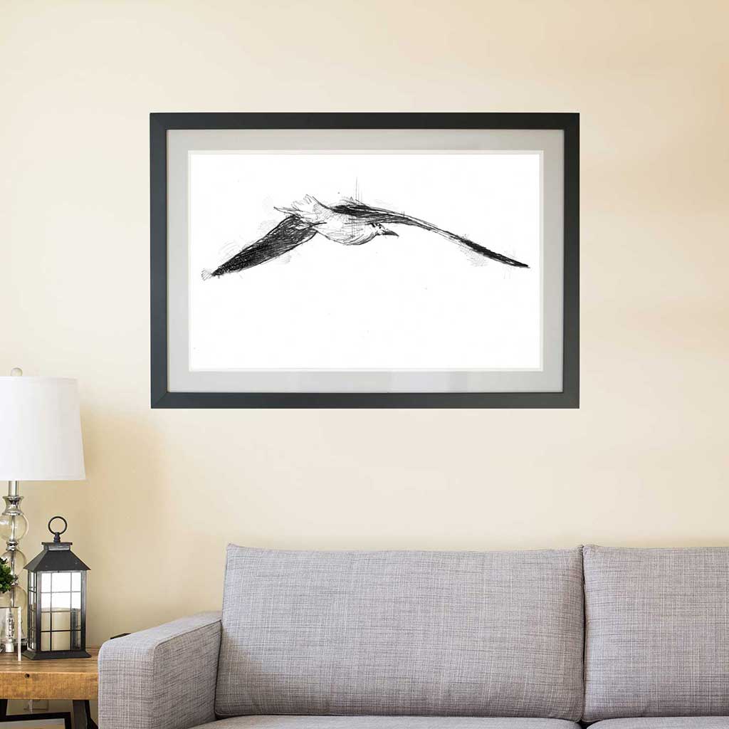 Sea gull