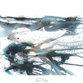 Harbour dolphin