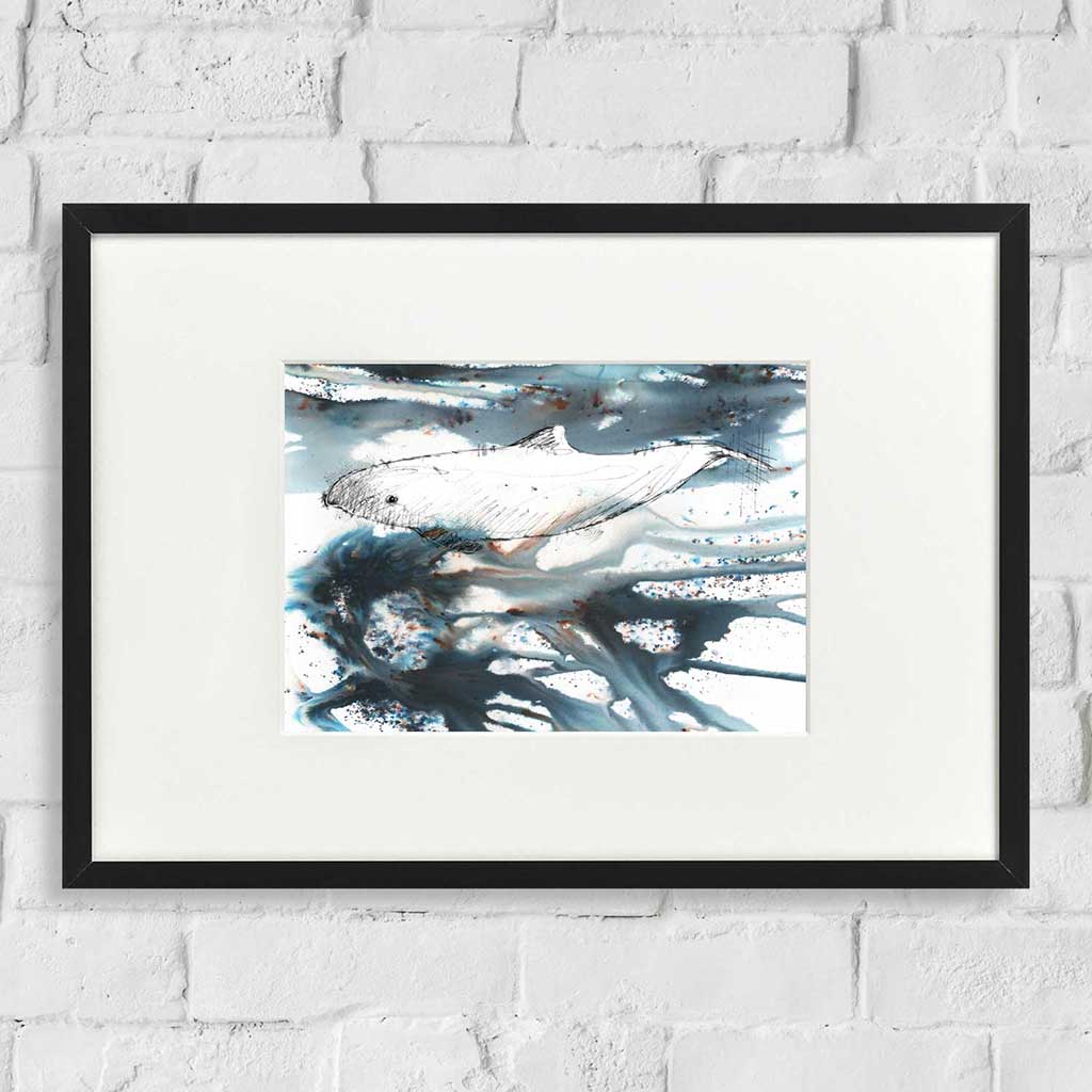 Harbour dolphin