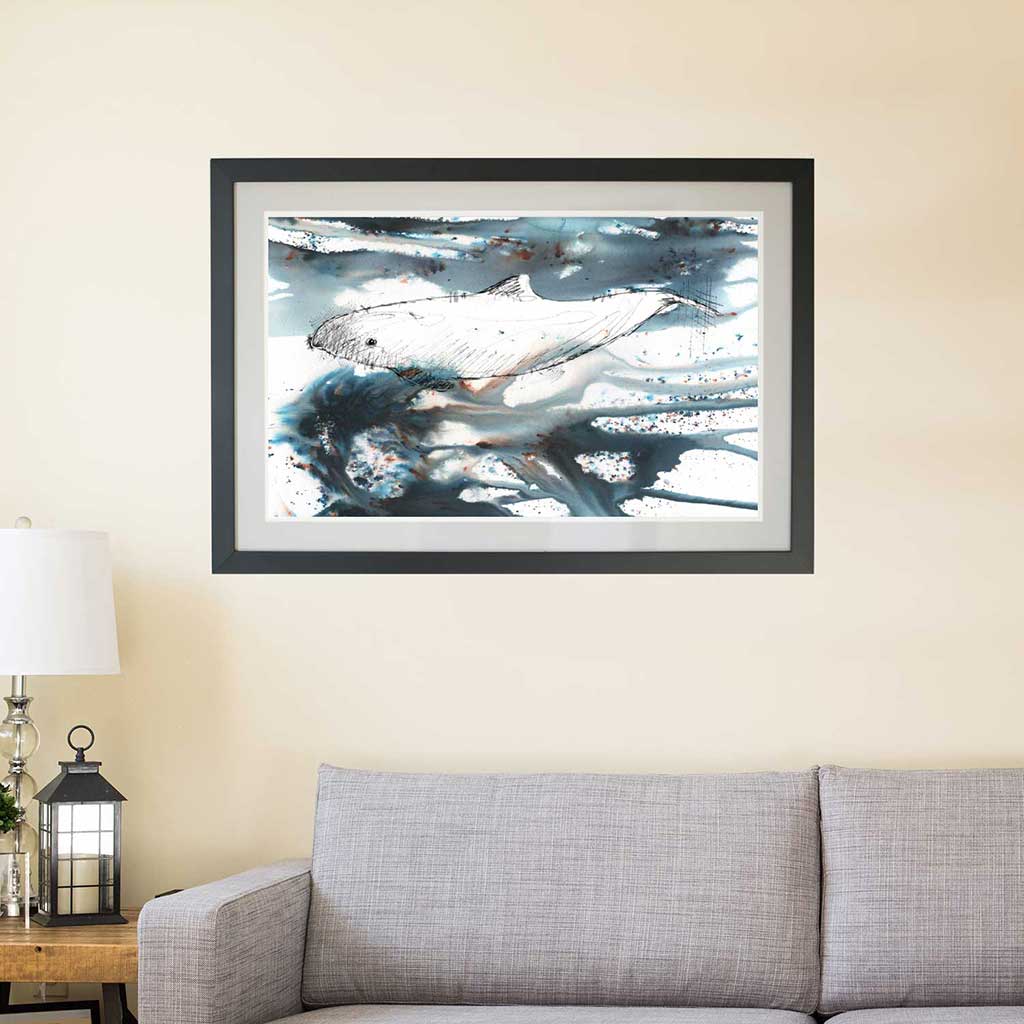 Harbour dolphin