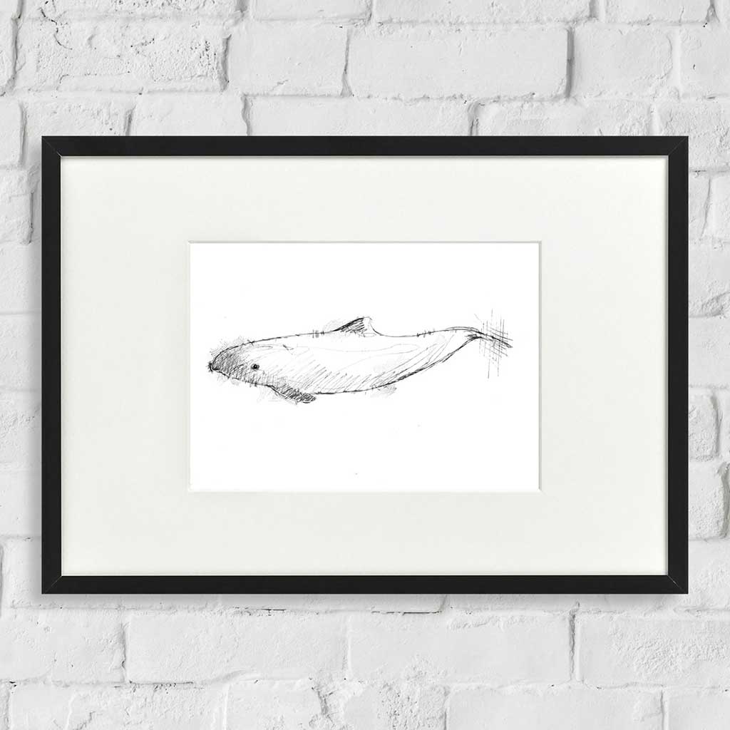 Harbour dolphin
