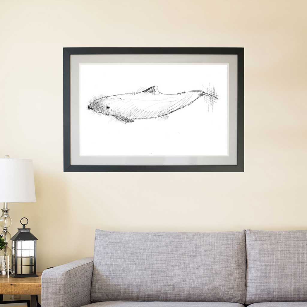 Harbour dolphin