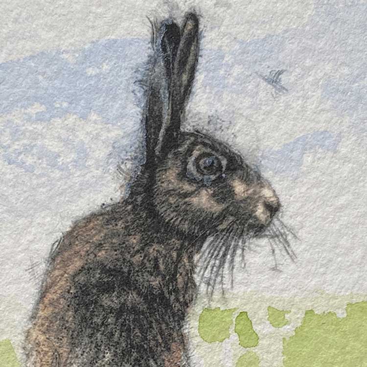 Hare alert mini sketch