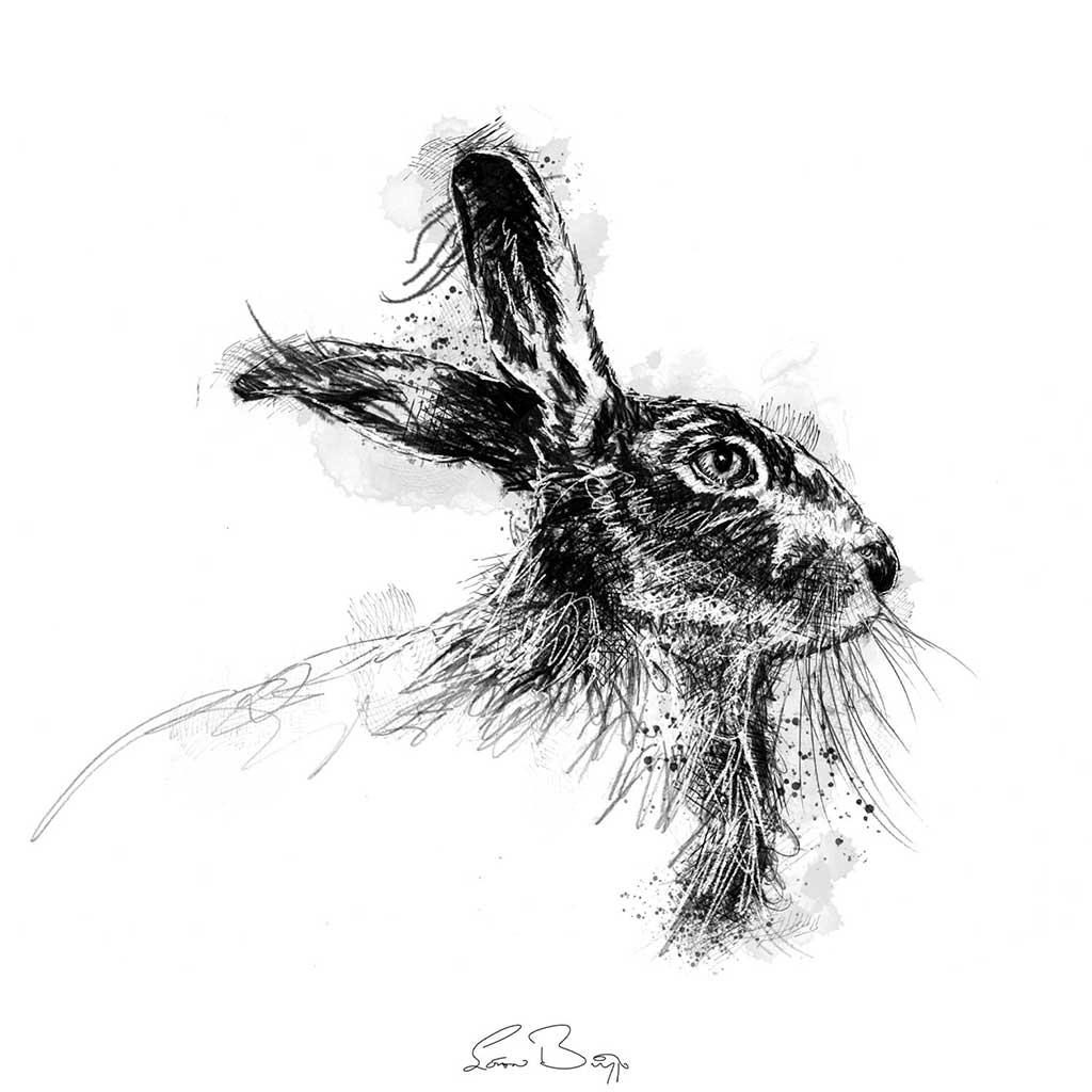 Brown hare