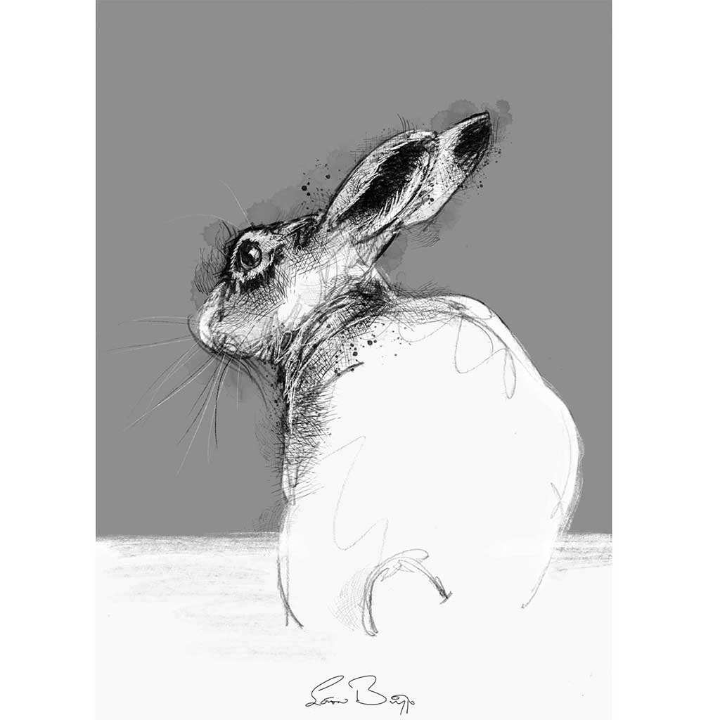 Hare resting