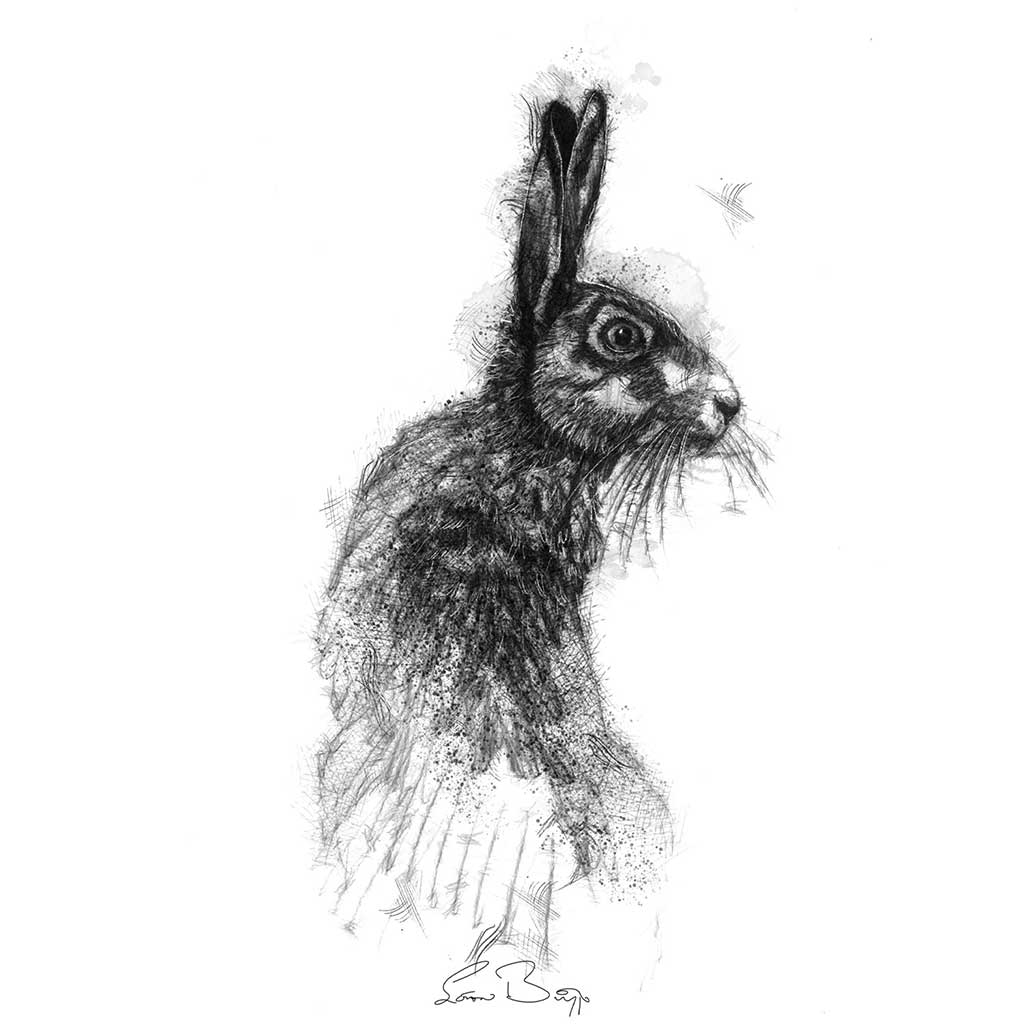Brown hare