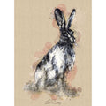 Brown hare