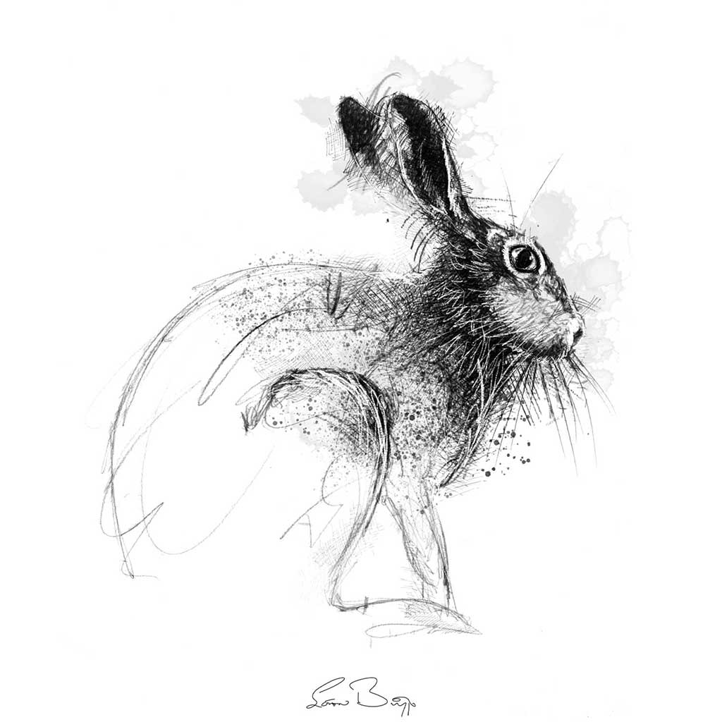 European hare