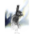 Brown hare