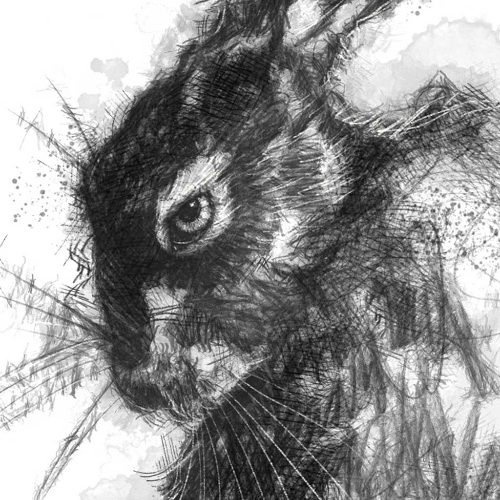Crazy brown hare