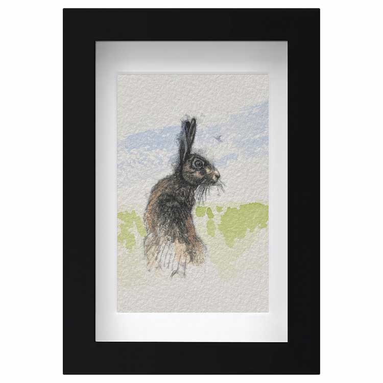 Hare alert mini sketch