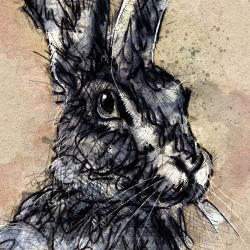 Brown hare